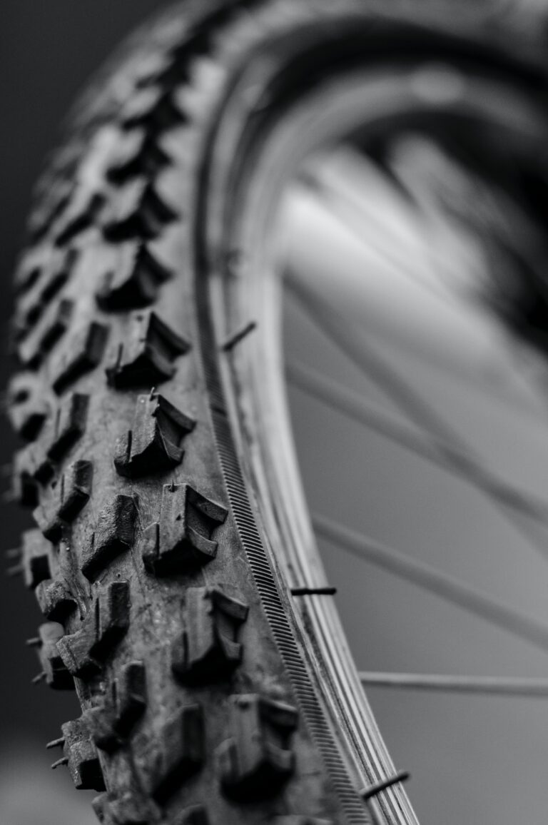 bicycle tire section